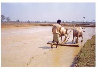 Preparation of main field