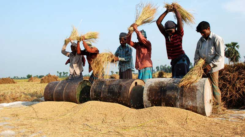 Harvesting