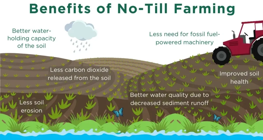 No till farming  to improve soil fertility