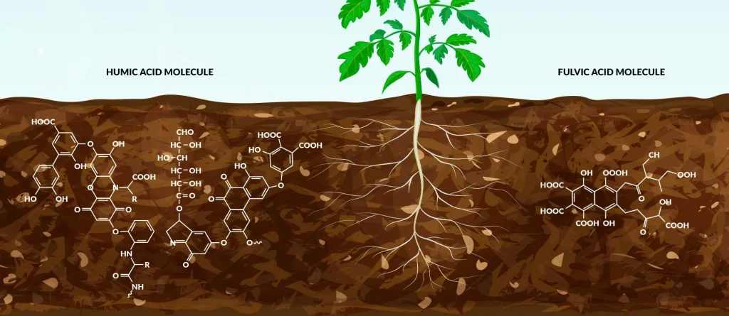 What are the Contents of Bio-Humate?