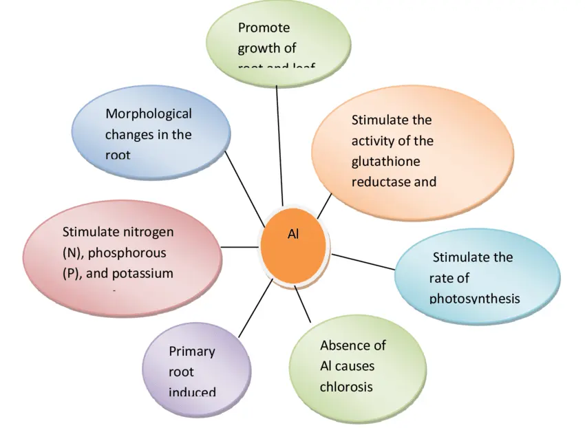 Aluminium beneficial nutient role