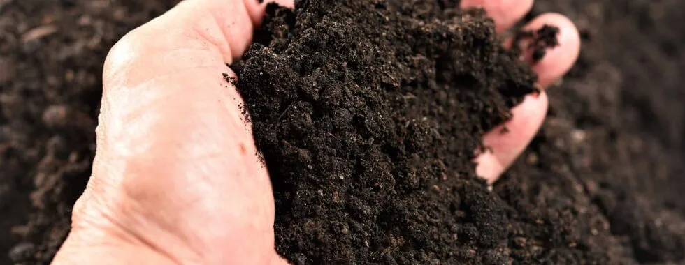 Apply organic matter tips to improve soil fertility